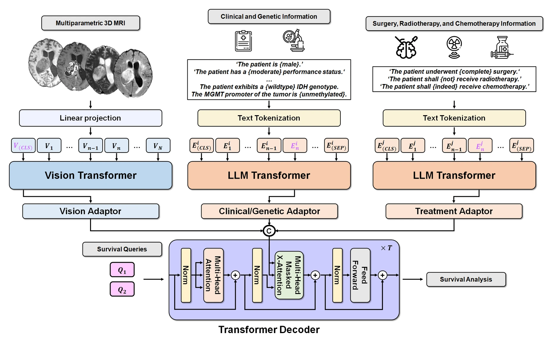 GlioSurv architecture: a vision transformer for MRI and language-model encoders for clinical, genetic and treatment text feed a transformer decoder with survival queries.